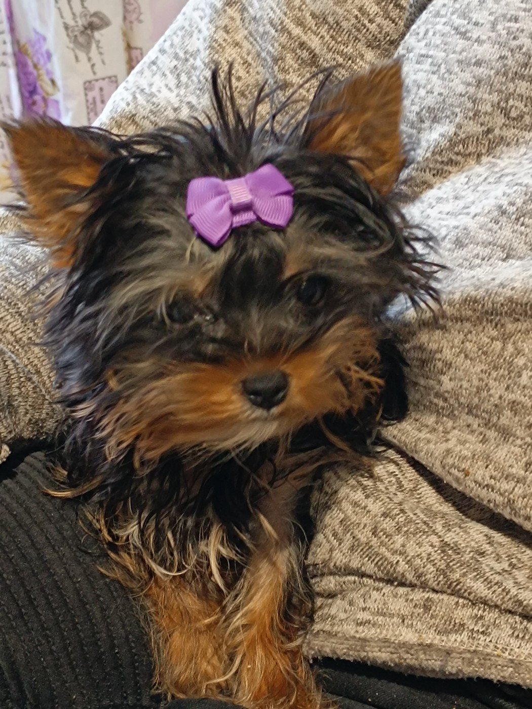 Du Marais De Lasné - Petite miniature