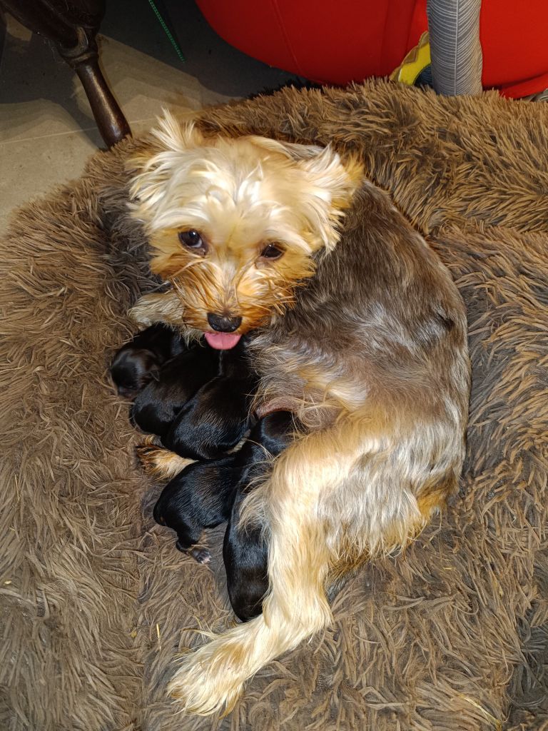 Du Marais De Lasné - des bebes ,des bebes